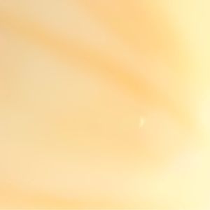 Meet your Posher, Justine